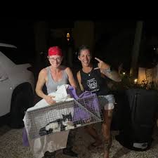 New dating profile picture uploading… “Taking pics of cats we trap like men  do with fish