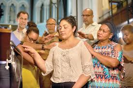 Image result for Justicia amanda