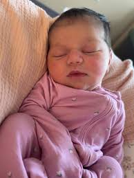 Bella Volpini Ellis (@bella_volpini) • Instagram photos and videos