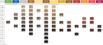 redken chromatics hair color chart lajoshrich com