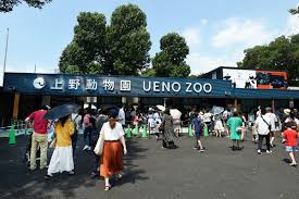 The site owner hides the web page description. Guidebooq ä¸Šé‡Žã¸ ä¸Šé‡Žå‹•ç‰©åœ'