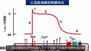 images?q=tbn:ANd9GcRmv_2hmXGOveZCsgbG_GdzWDFLJwvlLeHvRA&s