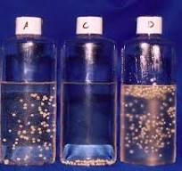 Carbopol Aqua SF-1 Polymer