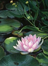 Spells Can Be Used For Your Own Life Or For Others You Know Who Need Healing Energy If You Are Working For Oil Painting Flowers Lily Painting Flower Painting