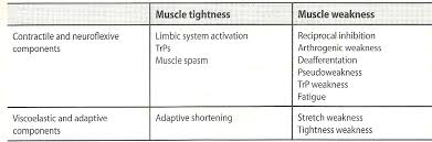 Image result for Muscle Weakness Causes