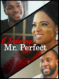 The following series hello mr. Watch Seducing Mr Perfect Prime Video