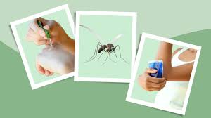 Image result for mosquito bite