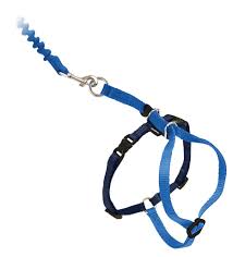 Come With Me Kitty Cat Harness Bungee Leash