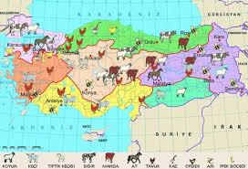 Turkiyede Hayvan Yetistiriciligi Turkiyede Hangi Hayvan Nerede Yetistirilir Hayvan Kus Yuvasi Ordu