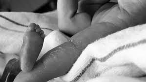 Fundraiser for trevor ler by Kelsie Brown : The Lee Family