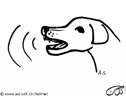 Today's topic is all about the do's and don't for kitchen islands. Kalimat Arabic For Islamic And Arabic Studies