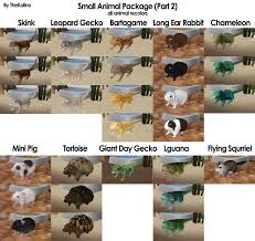 10 years ago on introduction dude this is really creative 5* reply 10 years ago on introduction thank you, thank you. The Kalino Small Animal Package Part 2