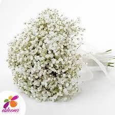 Pin On Catch My Party Fresh Flowers