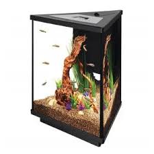Setting up an aquarium can seem intimidating at first, but once you get your feet wet, you'll see that they are much easier to get started and maintain than you might have. T6muv9zyh5wbcm