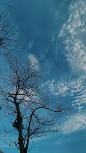 We have a massive amount of hd images that will make your computer or smartphone. Ig Moodcewekk Fotografi Alam Fotografi Langit Langit