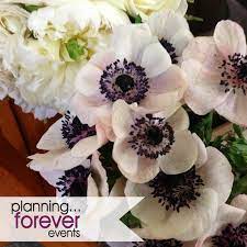 Maybe you would like to learn more about one of these? Evansville Indiana Planning Forever Events Wedding Event Planner Anemone Bouquet Wedding Wedding