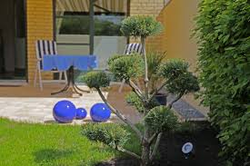 Gartenbonsai S Als Garanten Fur Einen Stilvollen Garten Die Beruhingenden Formen Und Die Besondere Ausstrahlung Gartenbonsai Garten Der Schmetterlinge Garten