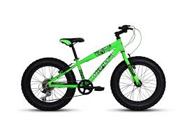 Image result for top 10 cycles in india