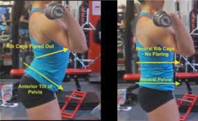 A Commonly Overlooked Cause Of Lower Back Pain Diverge Performance Therapy Columbus Oh 614 342 0027