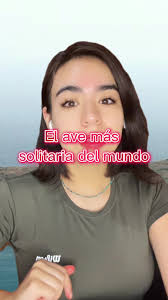 El ave más solitaria del mundo 🐦🥺 #nigel #aves #ciencia #biologia  #biologa #avedepresa