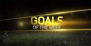 Fifa 15 Goals Of The Week Videos