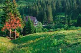 Consulta 253 fotos y videos de pensiunea casa motului tomados por miembros de tripadvisor. Cazare Arieseni 6 Oferte De Cazare In Arieseni