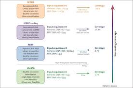 Image Result For Wgbs Sequencing Treatment Sequencing Preparation