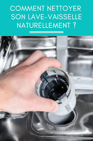 Nettoyer Son Lave Vaisselle Nos Astuces Naturelles Nettoyer Lave Vaisselle Lave Vaisselle Vaisselle