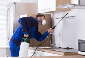 Contact us for safe and effective solutions, and we will arrange that a local expert to pay you a visit. Pest Control London 24 Hour Pest Removal Services Empire Pest