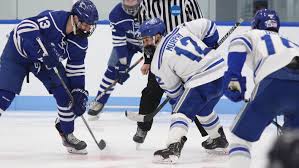 When shopping for new pucks, you want to consider the hardness, weight, rebound elasticity, and cushion you need while trading slapshots. Men S Ice Hockey Colby College