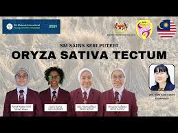 The motto of sekolah menengah sains kota tinggi is 'ilmu bakti kualiti'. Miyio2021 Oryza Sativa Tectum Ost Sm Sains Seri Puteri Youtube