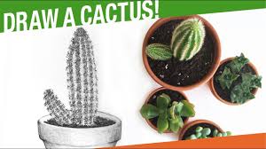 The cactus absorbs maximum of moisture and then it quietly grows in the desert, without requiring a lot of water. How To Draw A Cactus Plant Draw A Cactus In A Pot Youtube