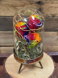 Preserved rose bouquet in a glass bell jar with wood base an elegant wedding centerpiece or romantic gift preserved flowers are imported from ecuador choose from teal. Roses In Glass Dome Cloche Preserved In Angier Nc Jabez Floristry