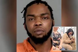 Michigan man wanted after 8 starving dogs rescued, 6 others found rotting  in yard