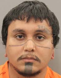 Suspect Arrested, Charged in Assault at 3219 Grosbeak Drive