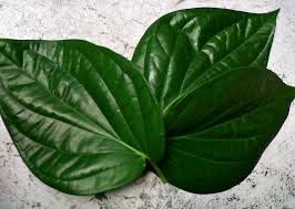 Bekas putih biasanya akan hilang secara perlahan dengan sendirinya. Rawat Mata Yang Terkena Ketumbit Dengan 8 Cara Petua Mudah Ini Confirm Berkesan Maskulin