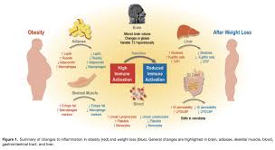 Pin On Weight Loss