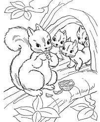 Also you can search for other artwork with our tools. Coloring Pages Squirrel And Babies Coloring Pages