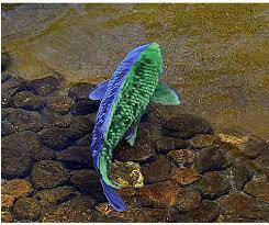 Pics Photos Green Koi Fish Tattoo Meaning Pictures Koi Fish Colors Koi Fish Koi Fish Tattoo