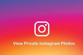 Privateig Allows You To View Instagram S Private Profiles In Less Than A M In 2020 With Images Instagram Private Profile Instagram Private Account Instagram Private Profile Viewer