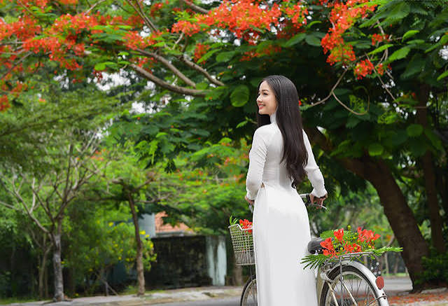 Xao xuyến t&agrave; &aacute;o trắng nữ sinh khi m&ugrave;a phượng vĩ về
