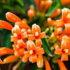 The climate in south america varies from the atacama desert in chile to the largest rainforest, the amazon rainforest. 1
