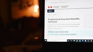 Report insurance fraud in washington state. Pandemic Benefit Cheats Could Get Caught By New Cra Measures But Not Soon Cbc News