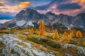 Colorful Autumn Mountain Landscape With Yellow Larches In Dolomites Italy Stock Photo Crushpixel