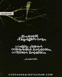 Image May Contain Text Malayalam Quotes Picture Quotes Inspirational Quotes