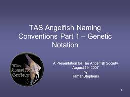 1 Tas Angelfish Naming Conventions Part 1 Genetic Notation