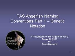 1 tas angelfish naming conventions part 1 genetic notation