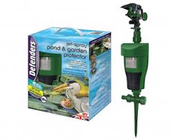 Check spelling or type a new query. How To Stop Foxes Coming Into Your Garden Home Guide Expert