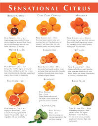 Citrus Varieties Chart Related Keywords Suggestions