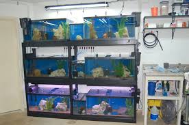 Air Pump Pvc Loop For Fishroom Please Advise Cichlid Forum Aquarium Fishing Room Aquarium Air Pump